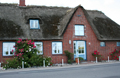 Ferien unter Reet